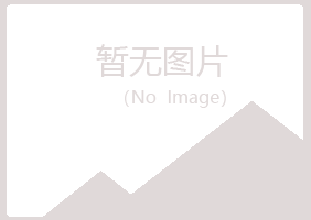 日照岚山如天建设有限公司